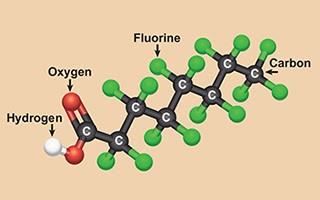 perfluorocarboxylic acids