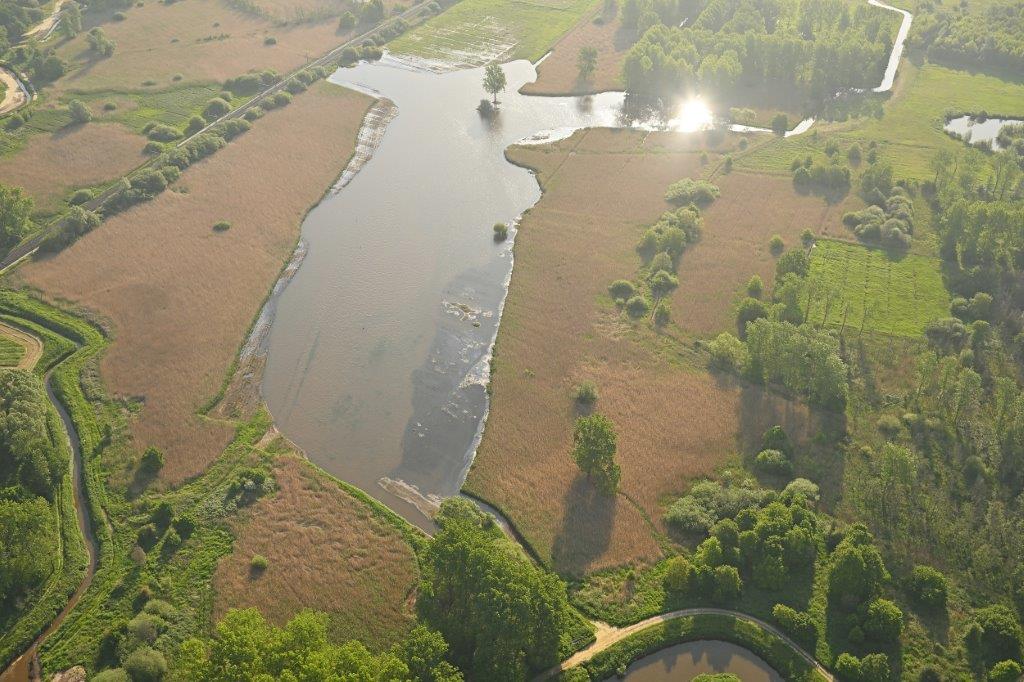wetland Kloosterbeemden after remediation
