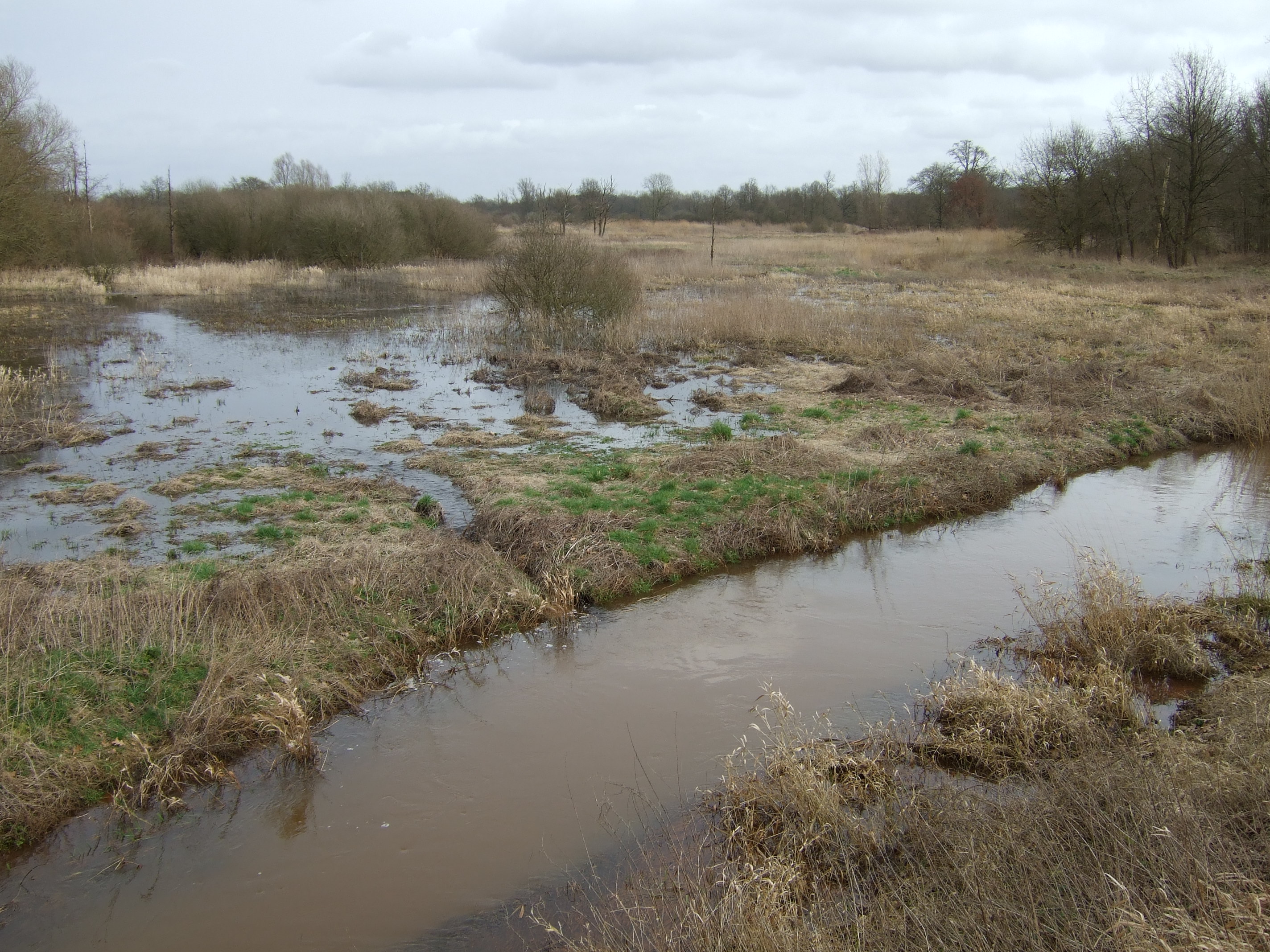 wet conditions at lowlands of Grote Laak