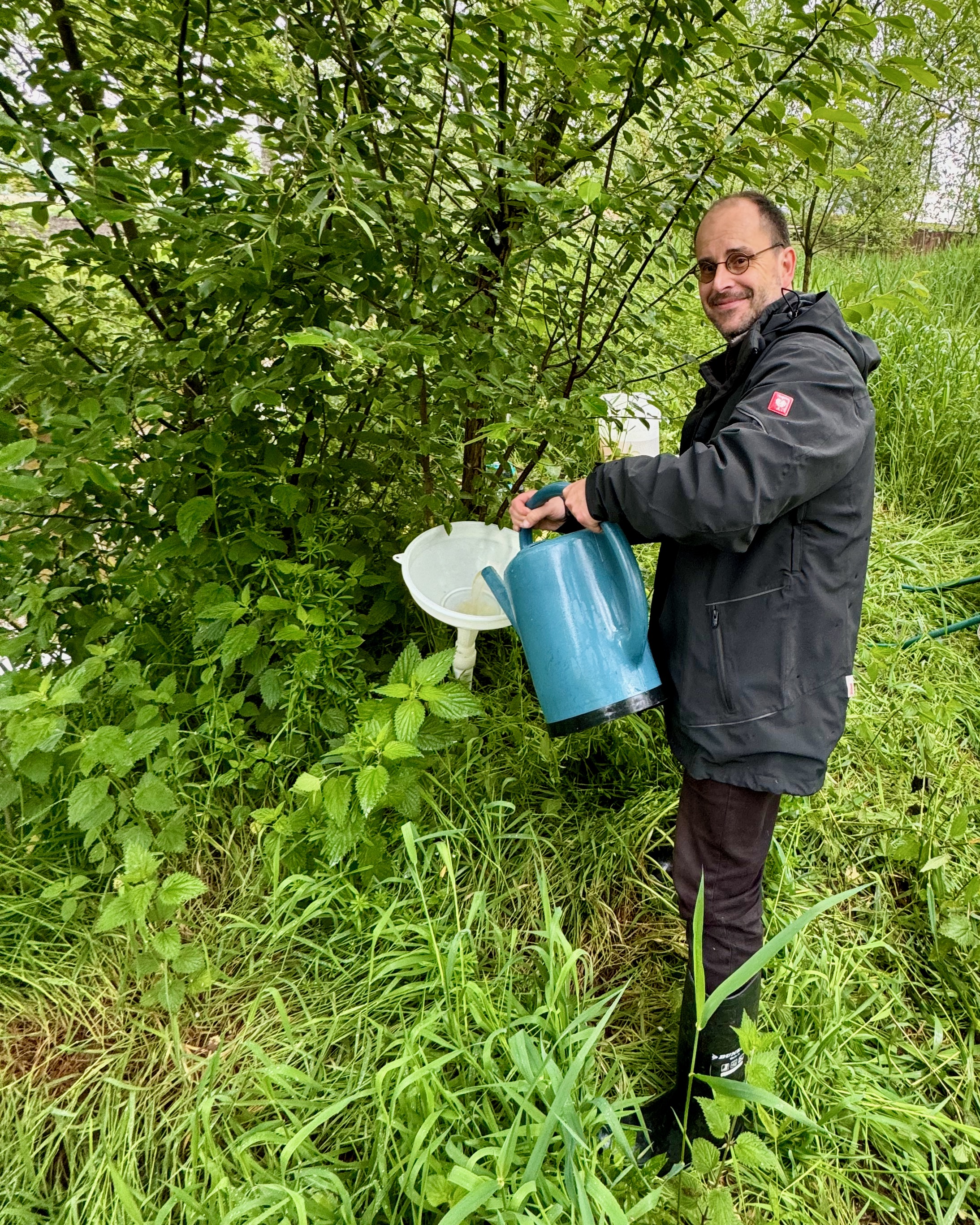 inoculation of the phytoremediation fields at Grote Calie